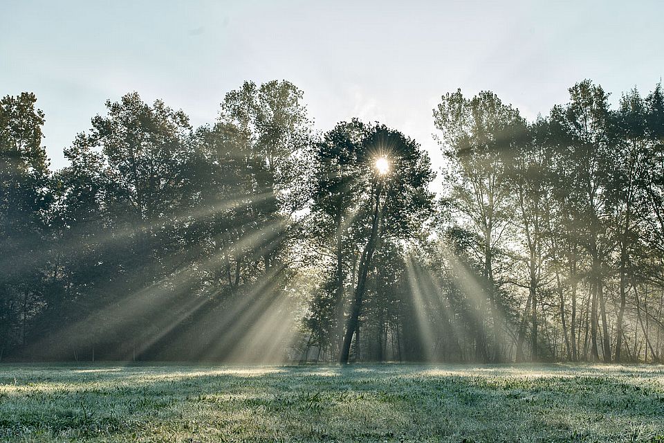 iUser_13\webG_Luci\suggestioni di luce\DL8_4699xx.jpg